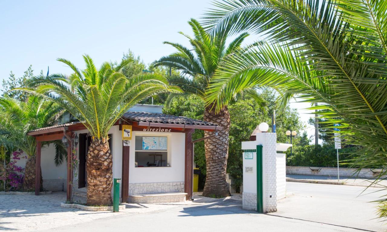 Residence La Conchiglia 维耶斯泰 外观 照片